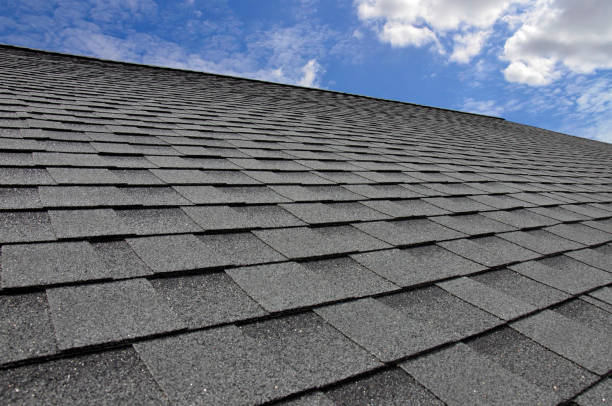 Best Sheet Metal Roofing  in Sparrow Bush, NY